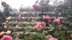 Мой прекрасный сад из роз, я буду скучать.