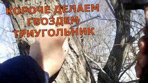 Как правильно СОБИРАТЬ кленовый СОК!!!