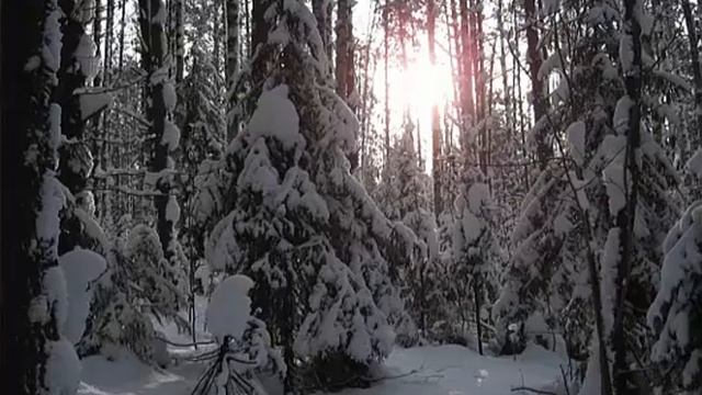 Зимняя сказка Уральского леса смотреть онлайн