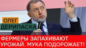 Экономика предложения от Дерипаски: «У нас на глобальном юге миллиард ртов»