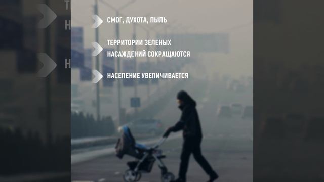 "ЗЕЛЕНЫЕ КРЫШИ-НОВЫЕ ВОЗМОЖНОСТИ" смотреть онлайн