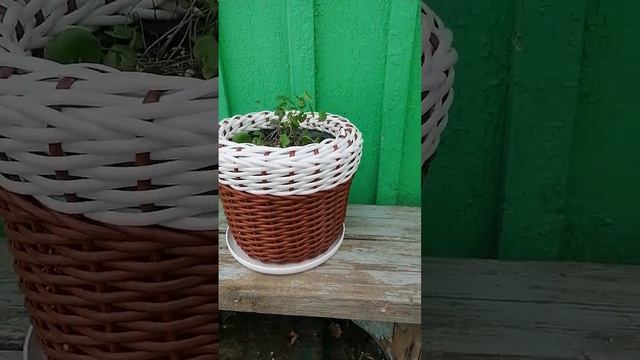 Кашпо из ротанга с добавлением другого цвета. Часть 2. смотреть онлайн