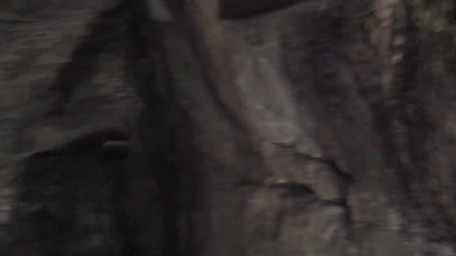Умань