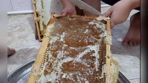 Дагестан. Медосбор➳Качка➳💯% Мед🍯Из Верблюжьей Колючки😋