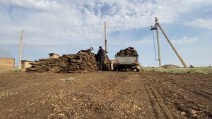 Перевозка и хранение биотоплива ( арhсн)