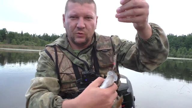 Вечерняя рыбалка по хищнику. Рыбалка в Псковской области смотреть онлайн