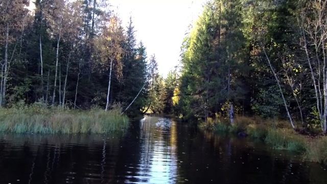 Секретное озеро \ Река Широкая \ Strong Dog Sup смотреть онлайн