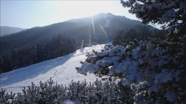 Белокуриха 2018 смотреть онлайн