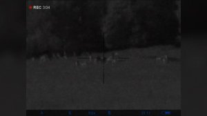 Pulsar Digisight Ultra N455 LRF - Наблюдение за животными