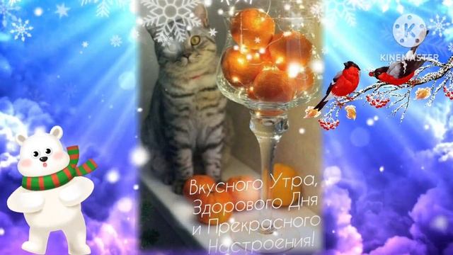 Бодрое пожелание доброго утра и чудесного зимнего дня!