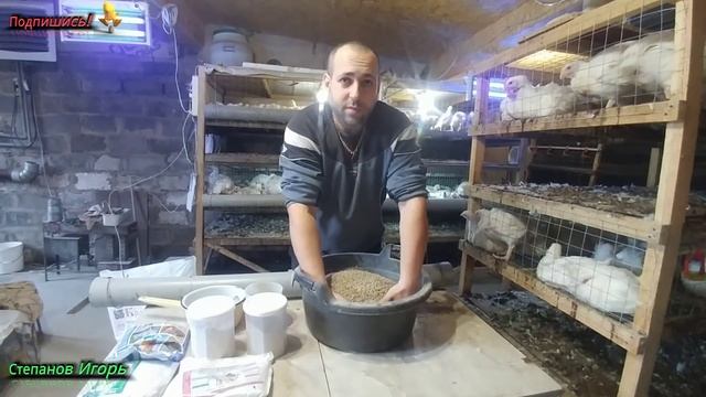 Корм для Бройлеров + Трикальцийфосфат + Сорбент Микотоксинов смотреть онлайн