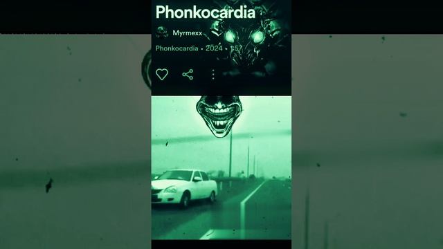 Phonkocardia у водителей ч. 1 #myrmexx #phonkedit #phonk #edit #мем #прикол