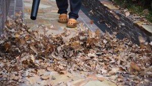 ?Аккумуляторная воздуходувка–пылесос Greenworks GD40BVII обзор и тест?