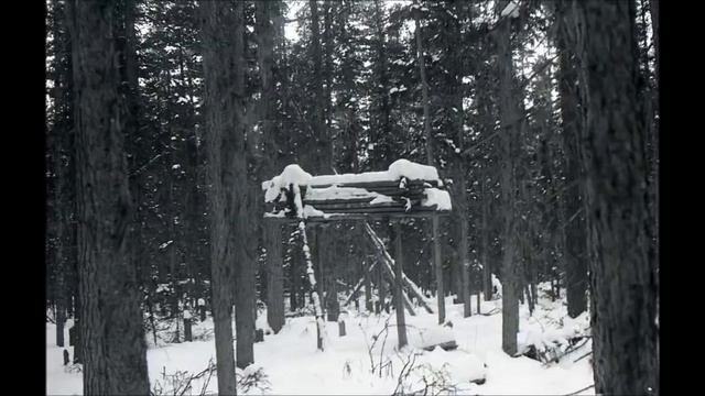 ⛺ Странные столбы на Перевале. Тайна лесных крестов раскрыта смотреть онлайн