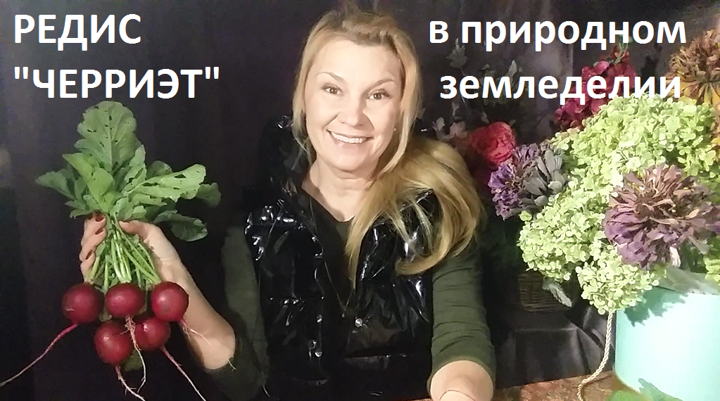 Редис от А до Я.
