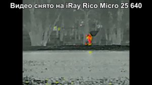 Тепловизор iRay Rico Micro 25