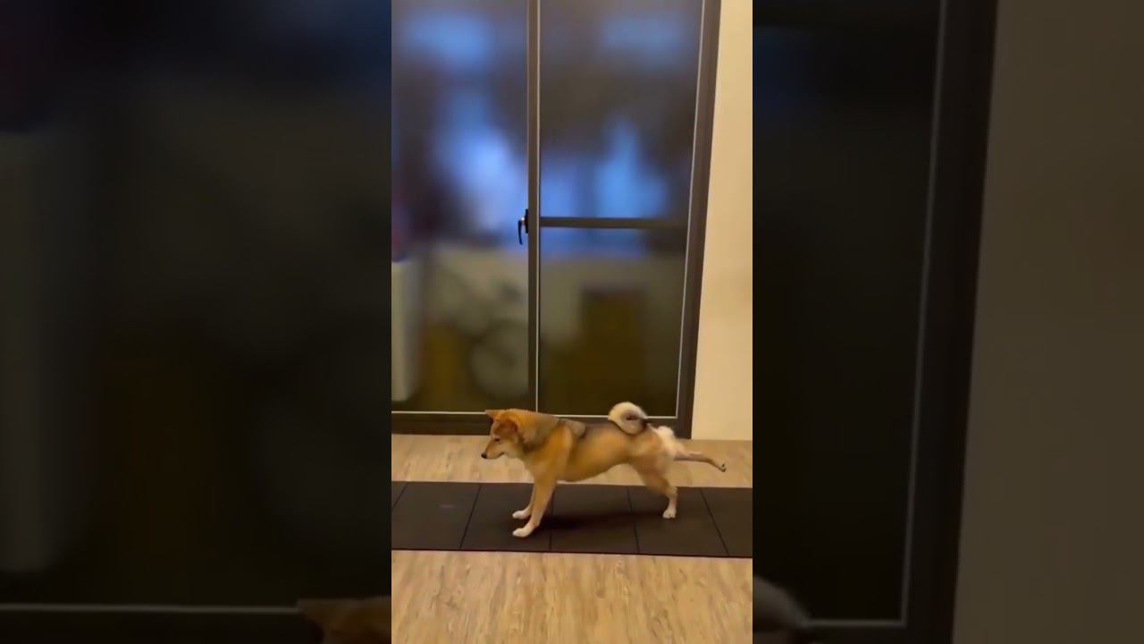 Тренинг для вас смотреть онлайн