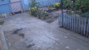 Первый запуск булерьяна дома