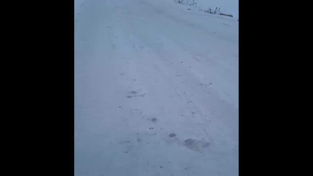 Прогулка до моста смотреть онлайн