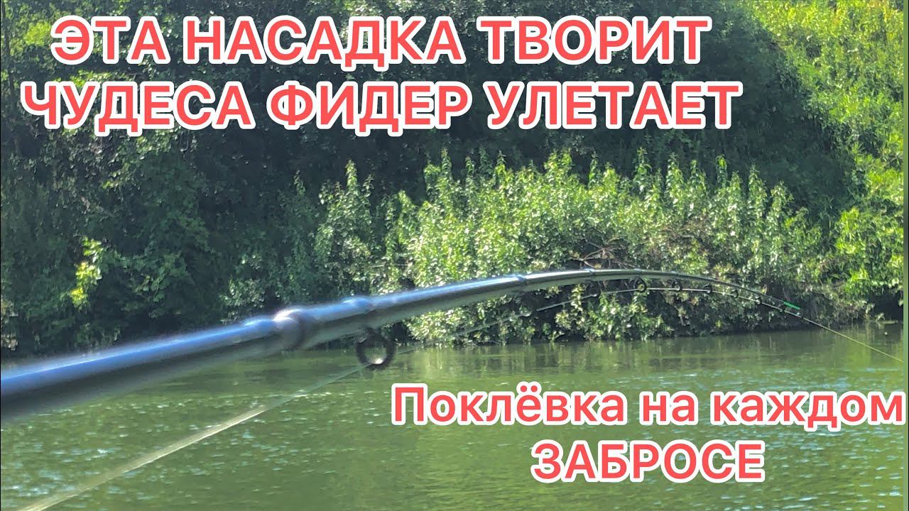 ЭТА НАСАДКА ТВОРИТ ЧУДЕСА / РЫБА на КАЖДОМ ЗАБРОСЕ / ЭТА НАСАДКА всегда ВЫРУЧАЕТ смотреть онлайн