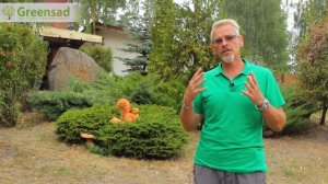 Правила планирования садового участка