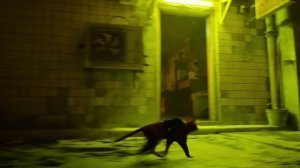 Stray - видео прохождение всех миссий игры