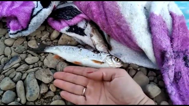 VLOG Архив.Лето 2020г. Семейное видео.Видео и фото лета 2020.Летняя рыбалка.Бассейн. смотреть онлайн