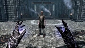 Skyrim - Do you really have to bother me right now?