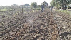 осенняя подкормка малины видео || Чем подкормить малину осенью после сбора урожая и обрезки