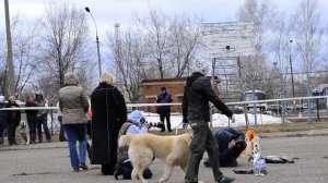 "Кубок Северного Подмосковья-2013", моно САО