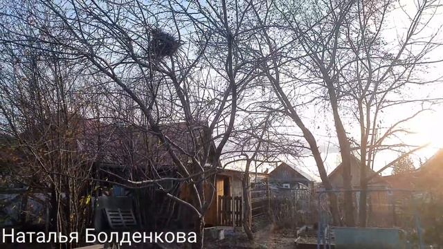 Козел переехал//Побег голубей//Готовлю еду смотреть онлайн