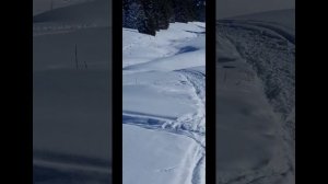 #Поход  в горы Алматы Кок жайляу