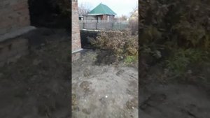 В ручную копаю целину. на даче за 50 т.р.