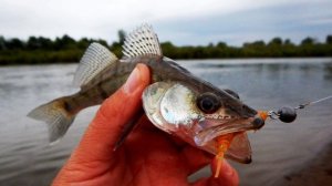 Рыбалка. Силиконовая приманка Fanatik Larva 2,0”