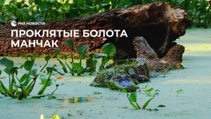 Проклятые болота Манчак