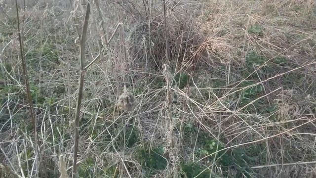 Тульская область - деревня Тургенево, деревня Колотовка и Бежин луг