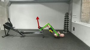 Сгибание голеней с ногами на седле гребного