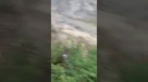 МОЩНЫЙ СЕЛЬ СОШЁЛ В ТЫРНЫАУЗЕ. ЛАВИНА ИЗ КАМНЕЙ И ГРЯЗИ ПРОШЛА ПО СЕЛЕПРОПУСКНОМУ ЛОТКУ РЕКИ. КБР