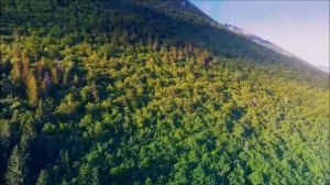 Симптомы, возникающие при мутации ДНК и изменениях тела на клеточном уровне