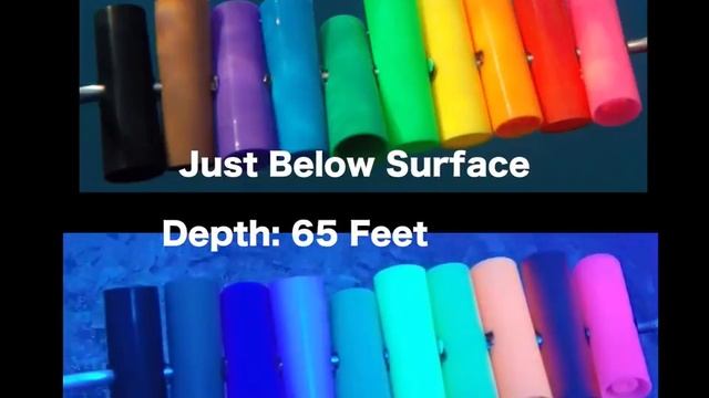 Как видит карп цвета под водой на глубине. / How to see carp colors at a depth. смотреть онлайн