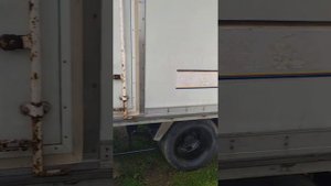 исузу эльф. обзор для покупателей