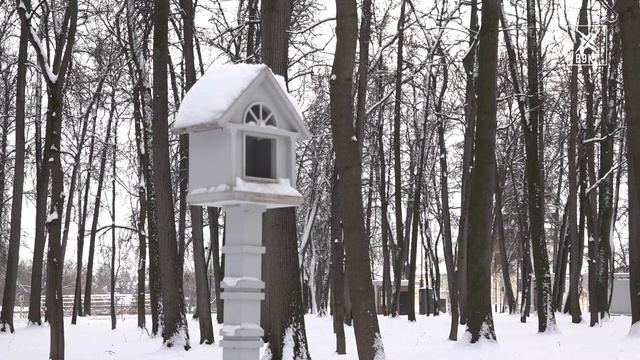 Покормите птиц зимой. В парке стартовала акция для пернатых смотреть онлайн