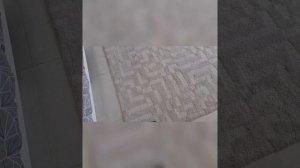 phillips power pro active  bagless vaccum cleaner 1.5L 2000w quick review