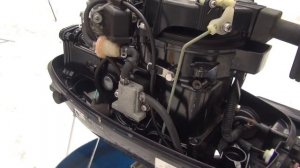 ОБЗОР TOHATSU F6 НА L-НОГЕ_ЯПОНСКИЙ МАЛЫШ НЕДОВОЛЕН РУССКИМИ МОРОЗАМИ.mp4