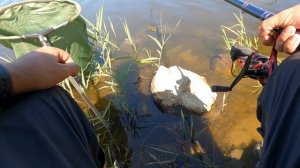 ?матчевая ловля?телематч. сравнение с болонскоим удилищем. матч короткого сложения?мои мысли?