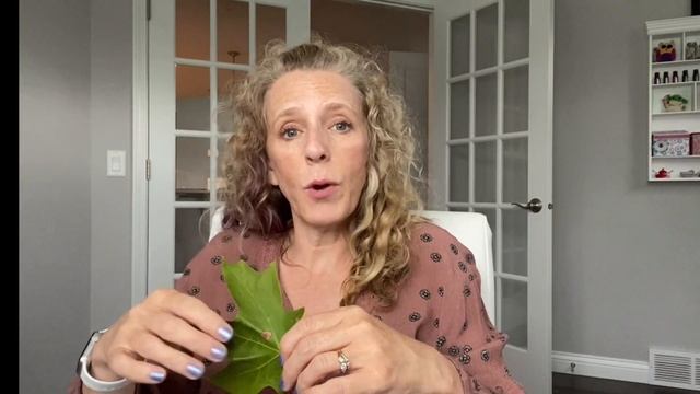 Preschool Art Ideas for Fall смотреть онлайн