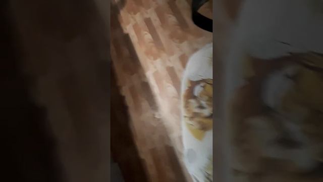 Пули fmj15 410 калибра от Техкрим смотреть онлайн