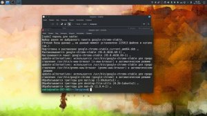 Kubuntu 21.10 после установки - настройка, кастомизация, установка программ, игры, принтер
