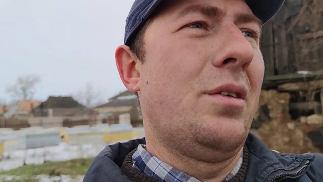 Какие корма подходят пчёлам ☝️? смотреть онлайн