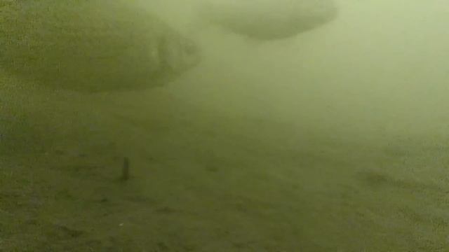 ЭТОТ МЕТОД КОСИТ ПАССИВНОГО КАРАСЯ! ловля карася зимой зимняя рыбалка карась на боковой кивок смотреть онлайн